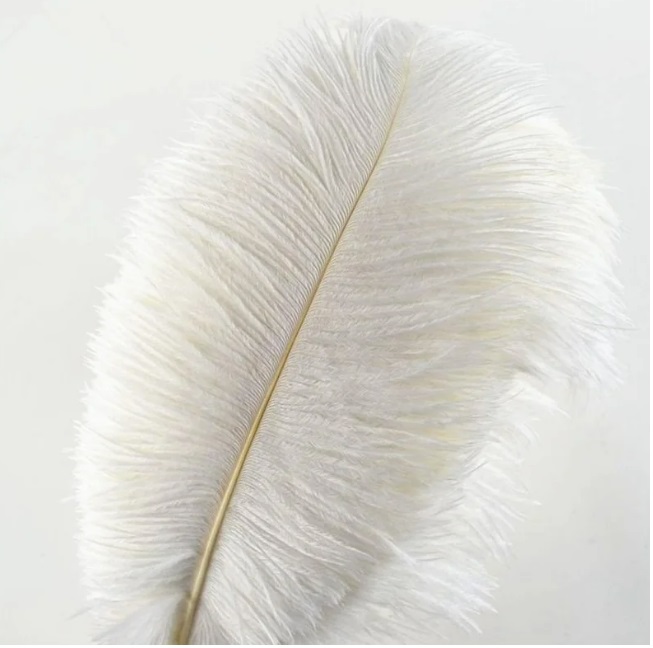 Plume d'autruche 40 à 50 cm